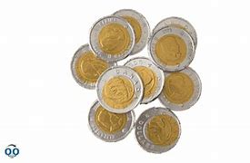 Chocolate Loonie Coins - Edible Promotions