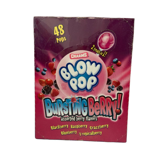 Blow Pop bursting berry Lakeshore Price